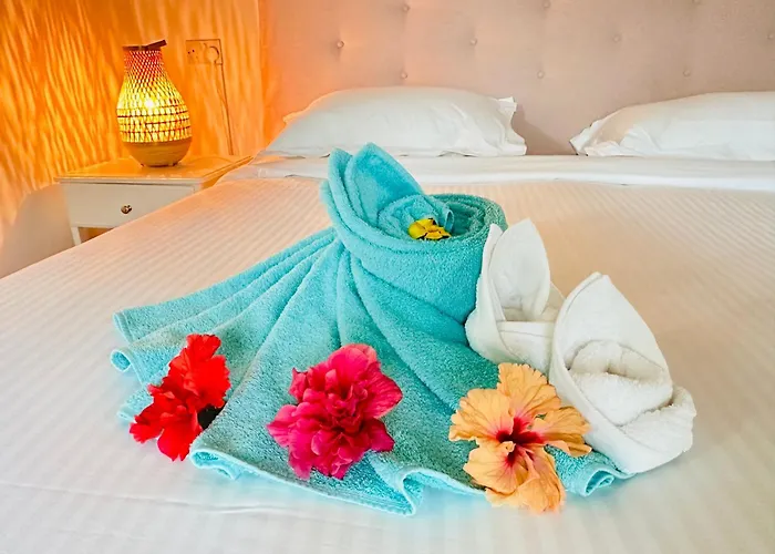 The Sea Bed Seychelles *
